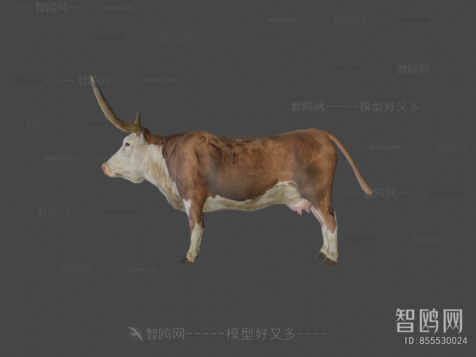 Modern Mammal