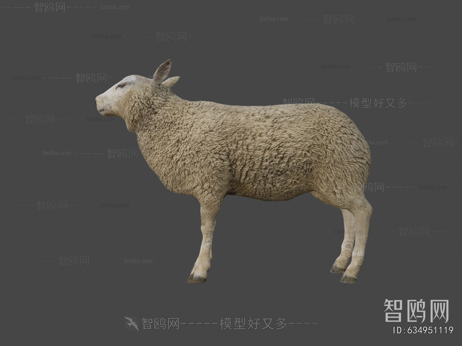 Modern Animal