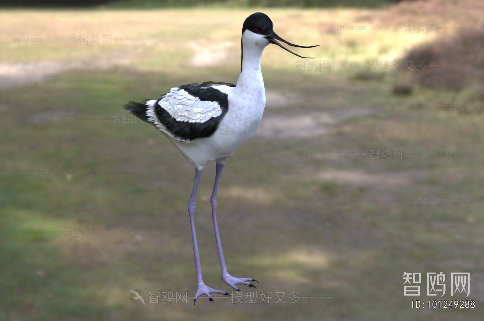 Modern Flying Animals