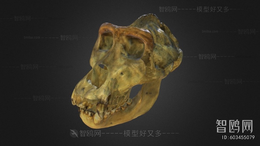 Modern Medical Equipment