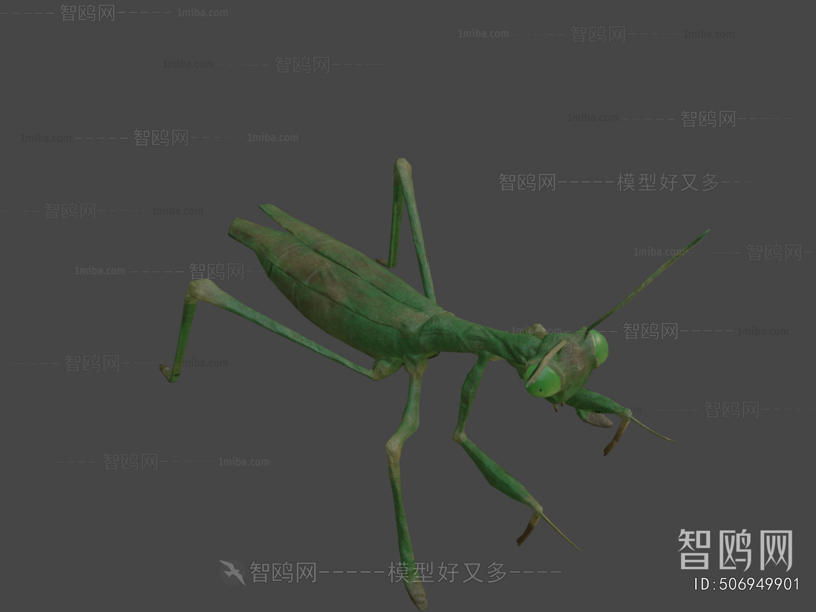 Modern Other Animals