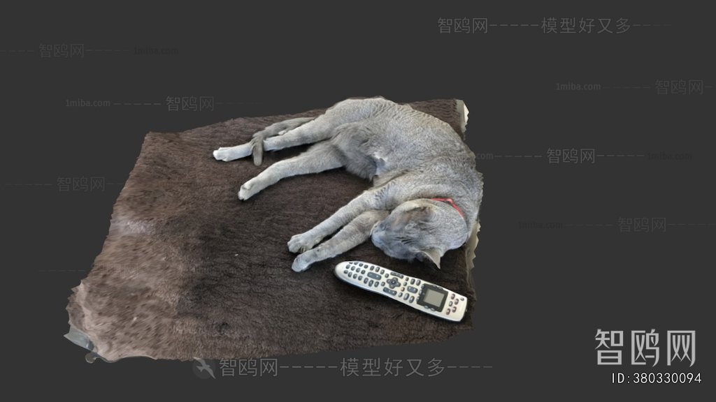 Modern Mammal