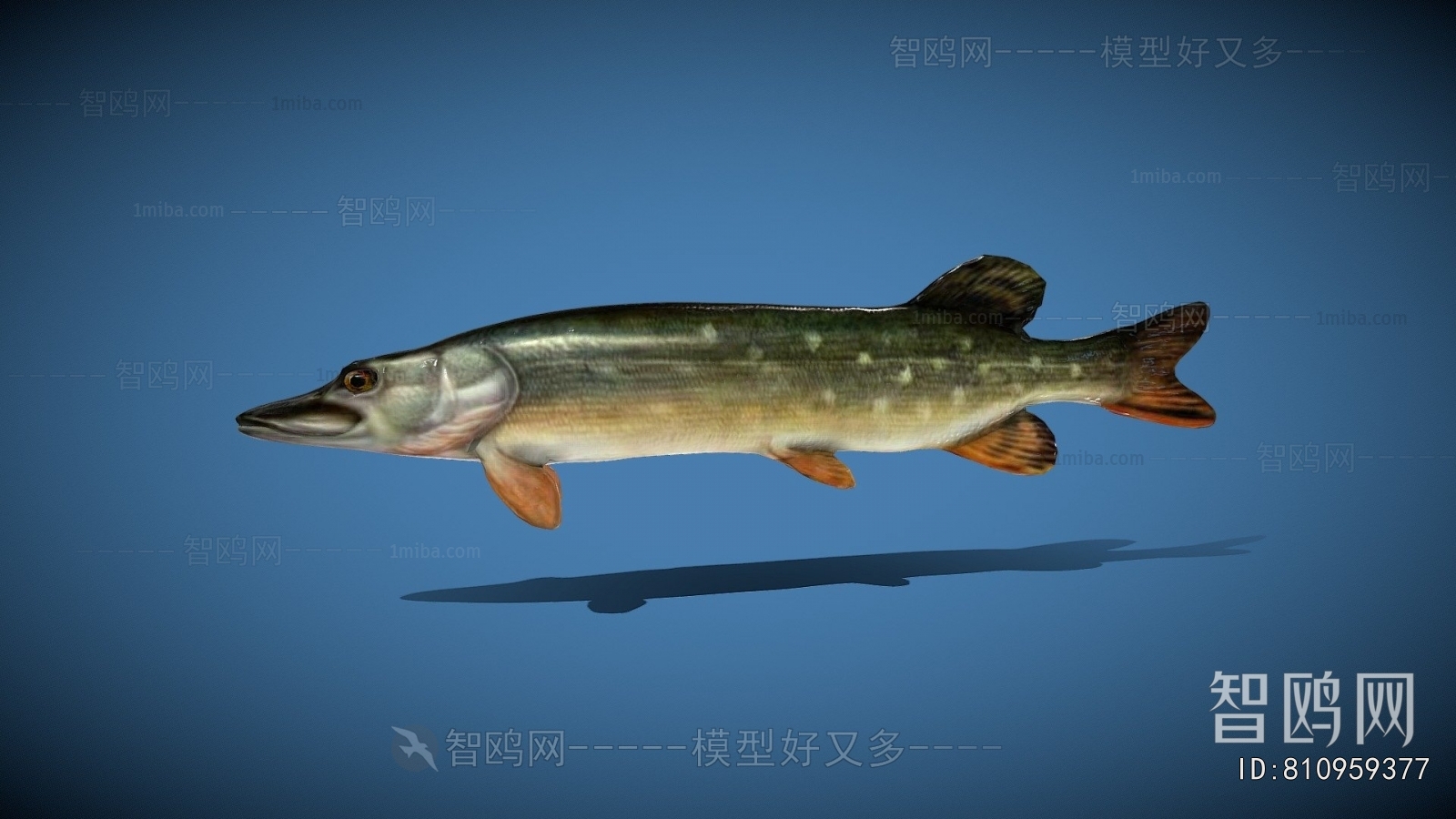 Modern Aquatic Product