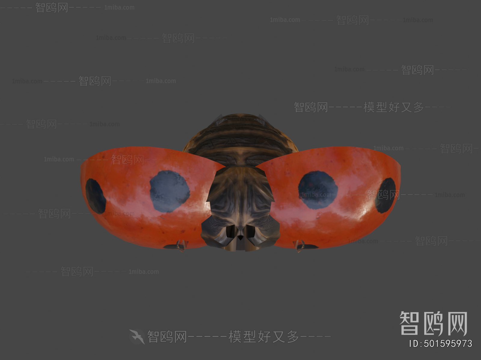 Modern Animal