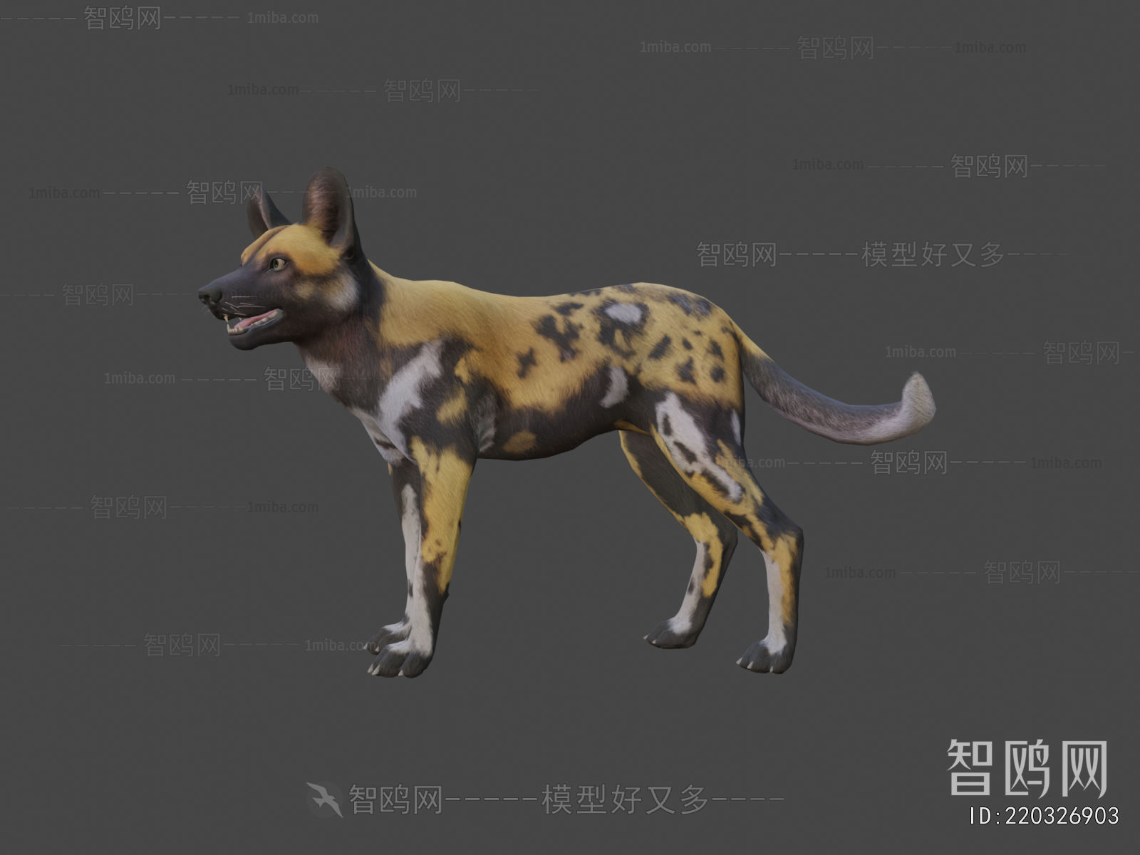 Modern Mammal