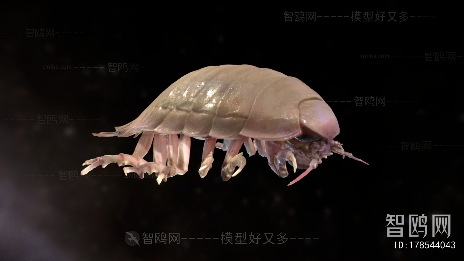 Modern Animal