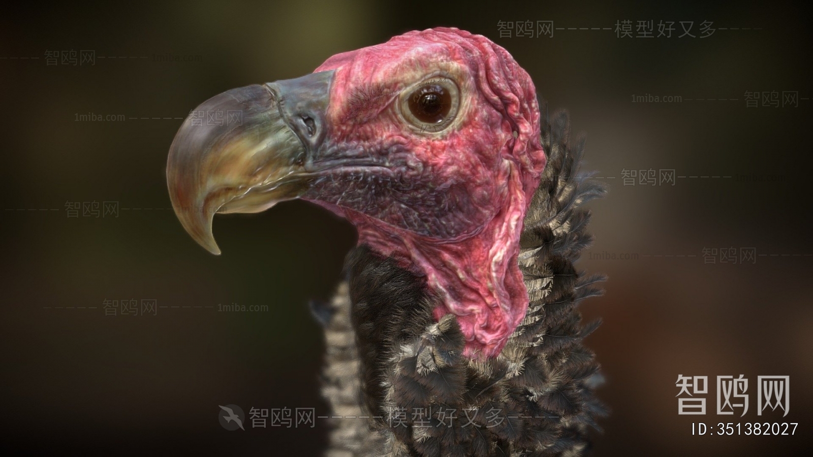 Modern Animal