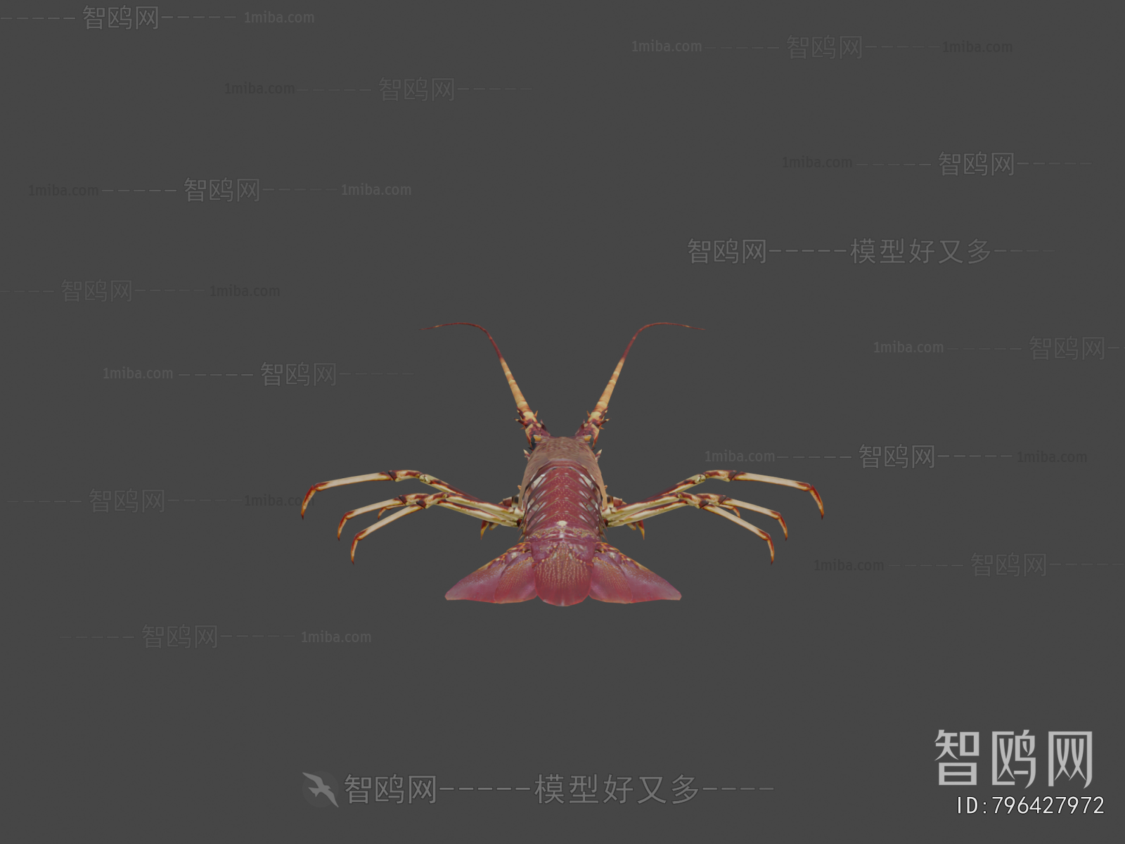 Modern Aquatic Product