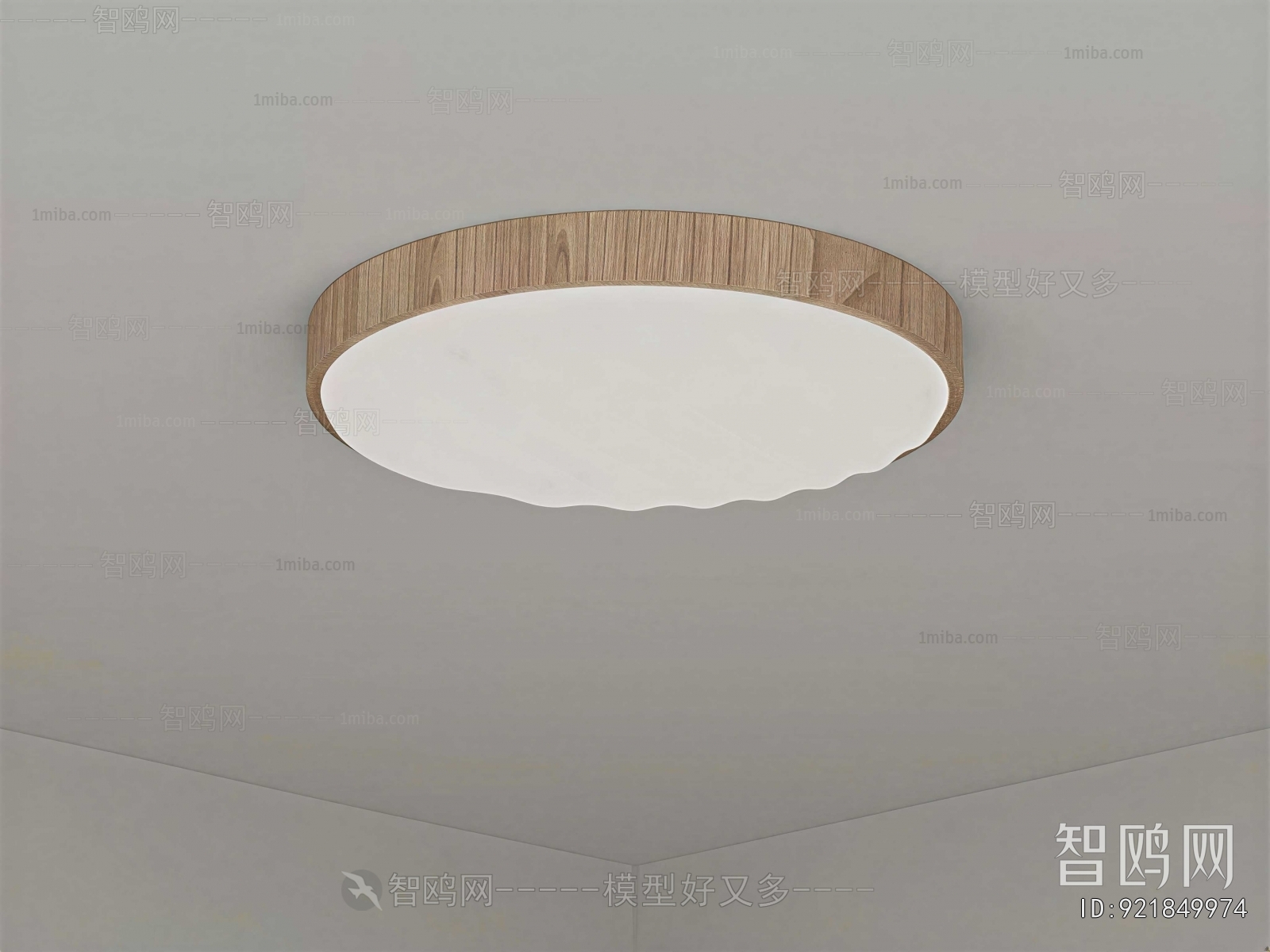 Modern Ceiling Ceiling Lamp