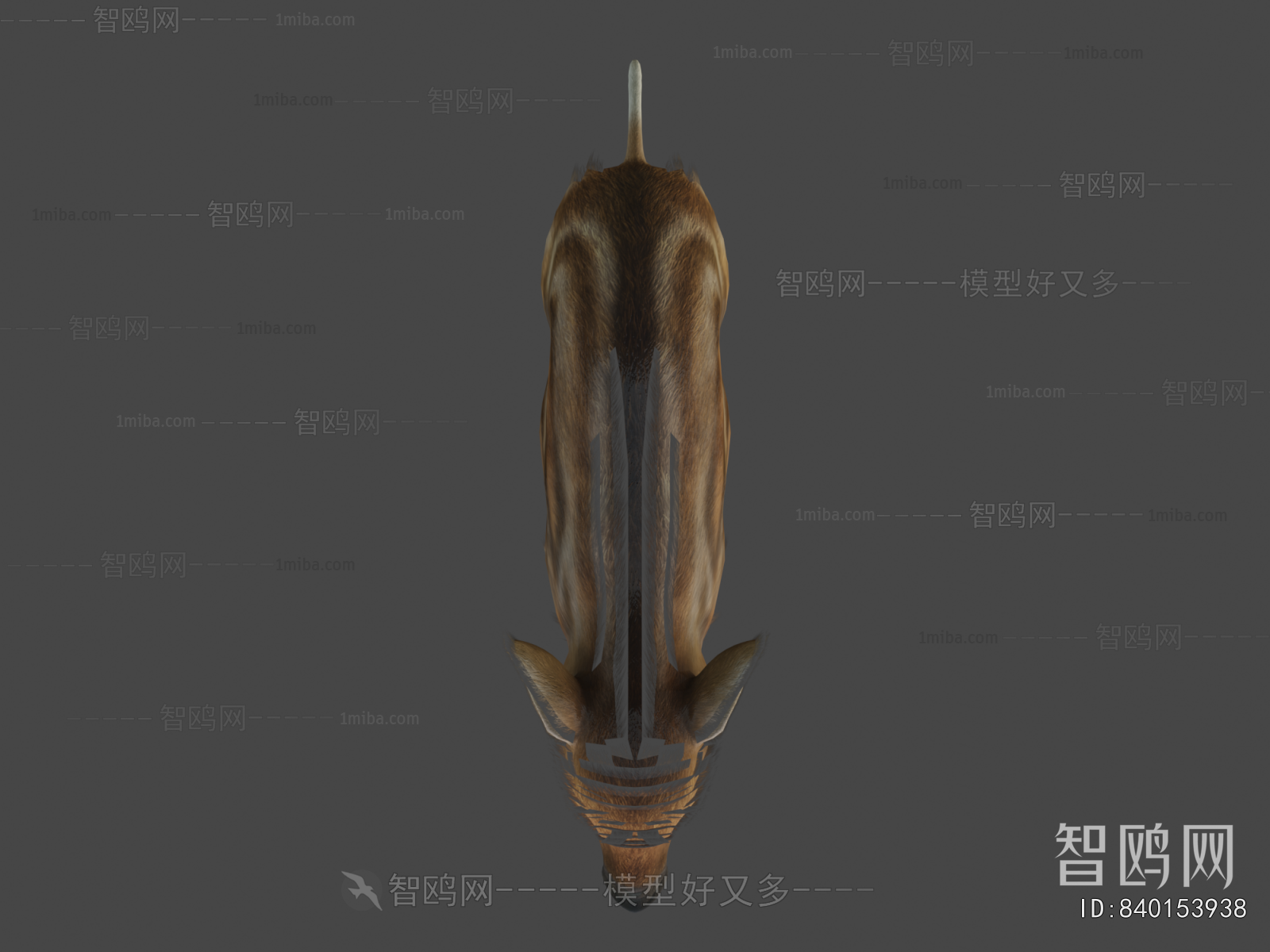 Modern Mammal