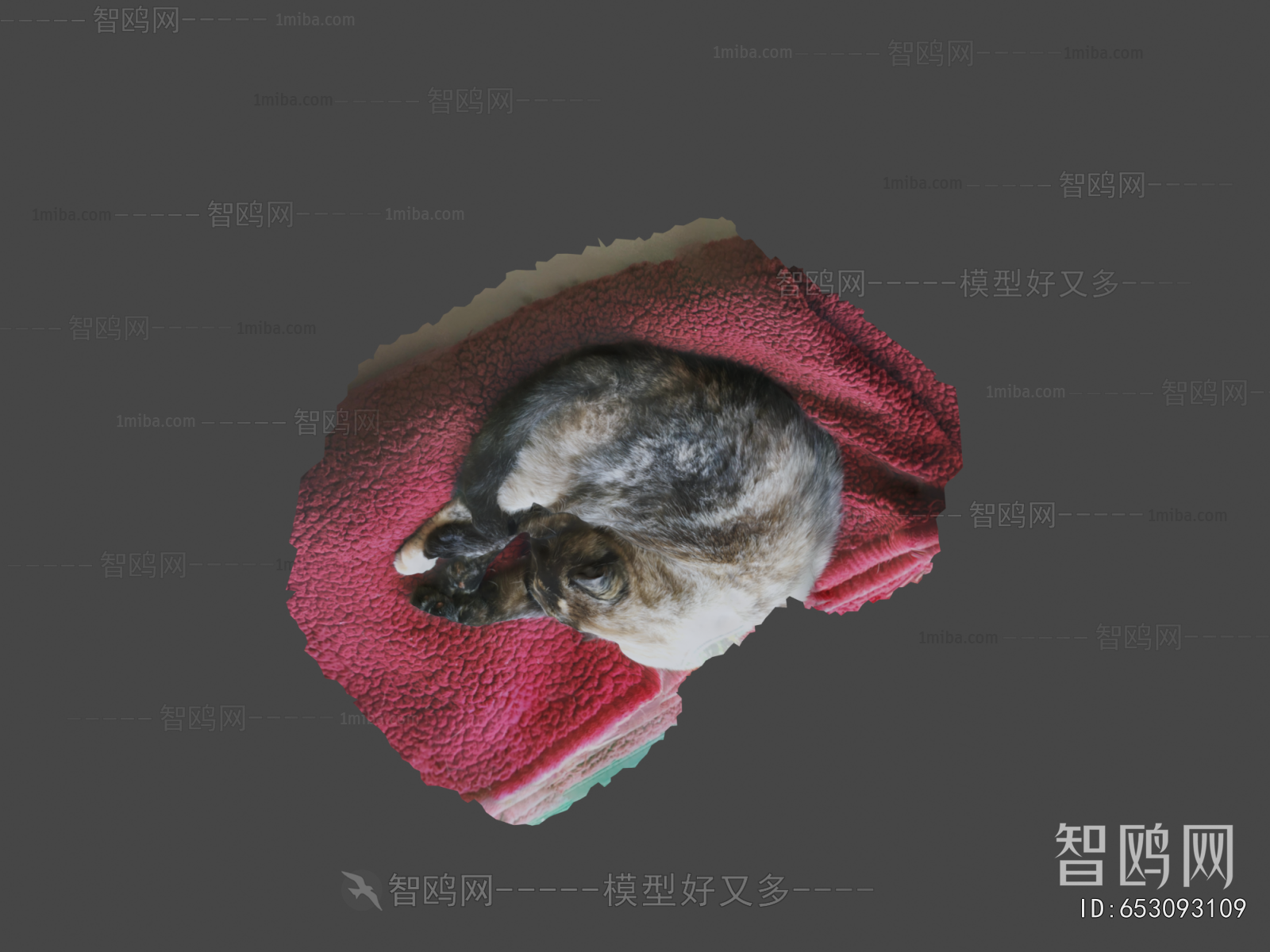 Modern Animal Cat