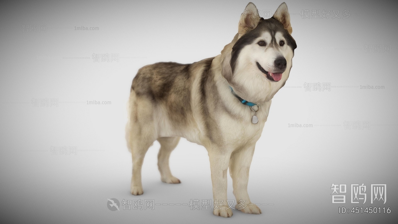 Modern Animal Dog