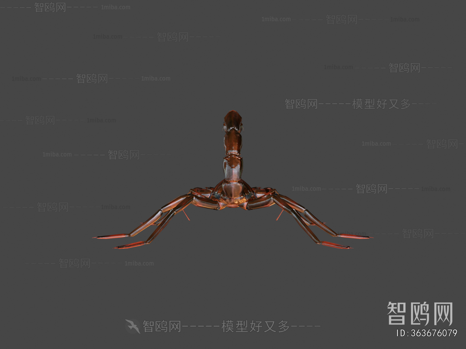 Modern Animal