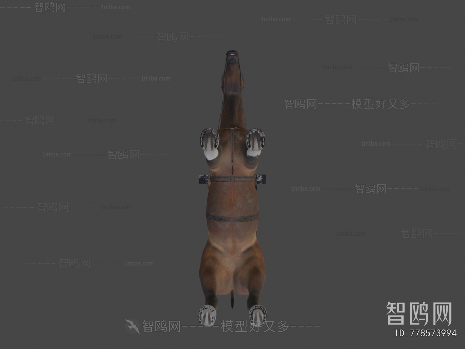 Modern Mammal