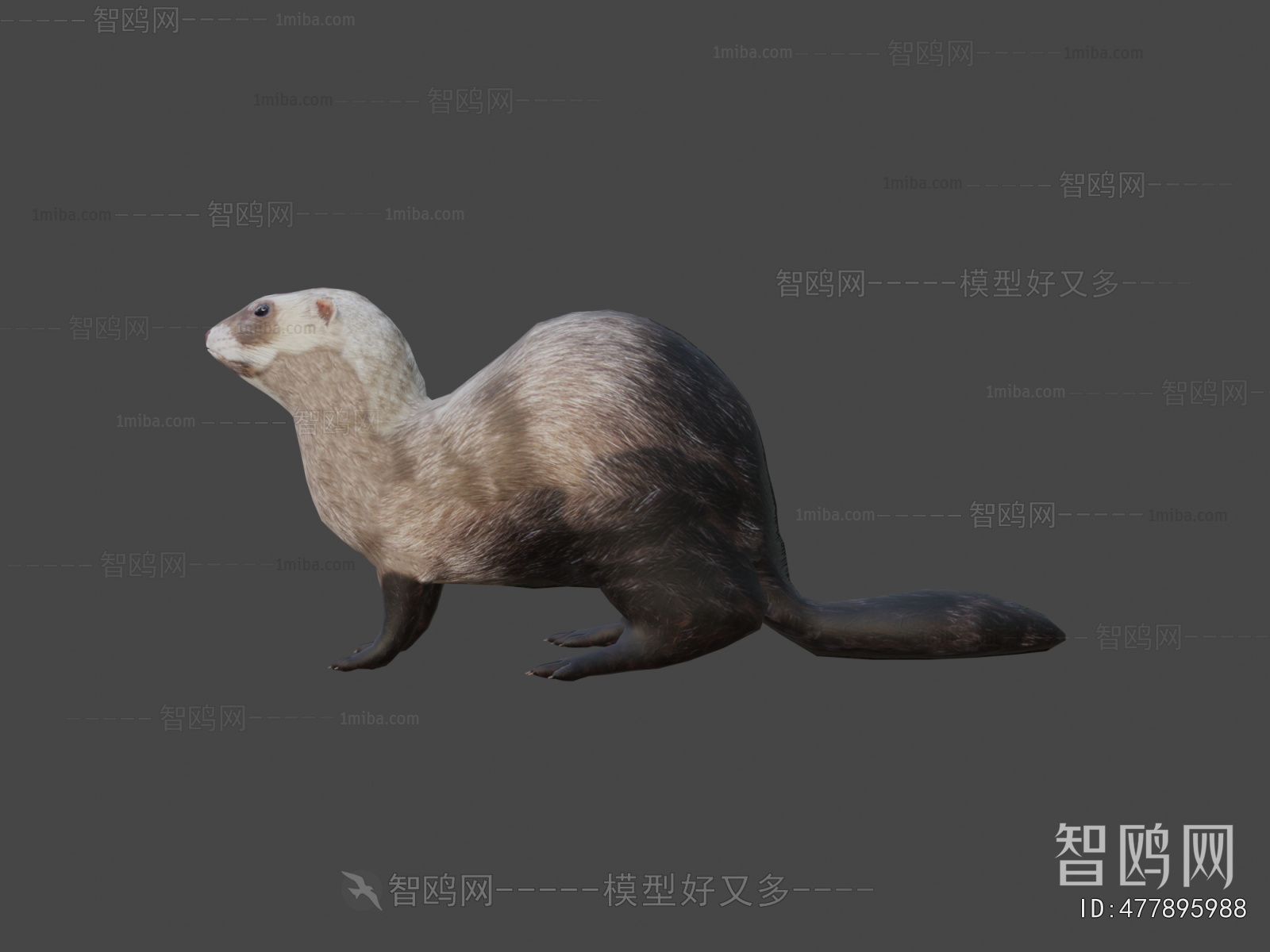 Modern Animal