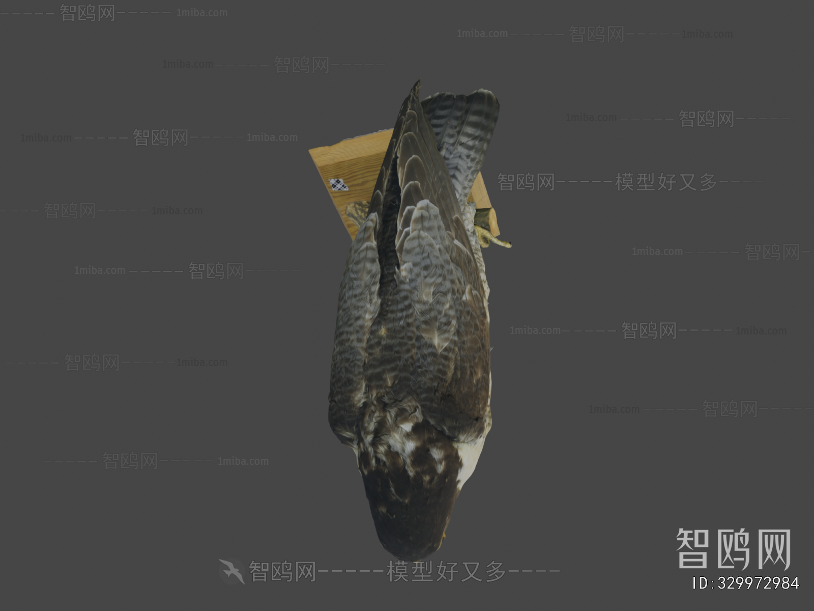Modern Animal