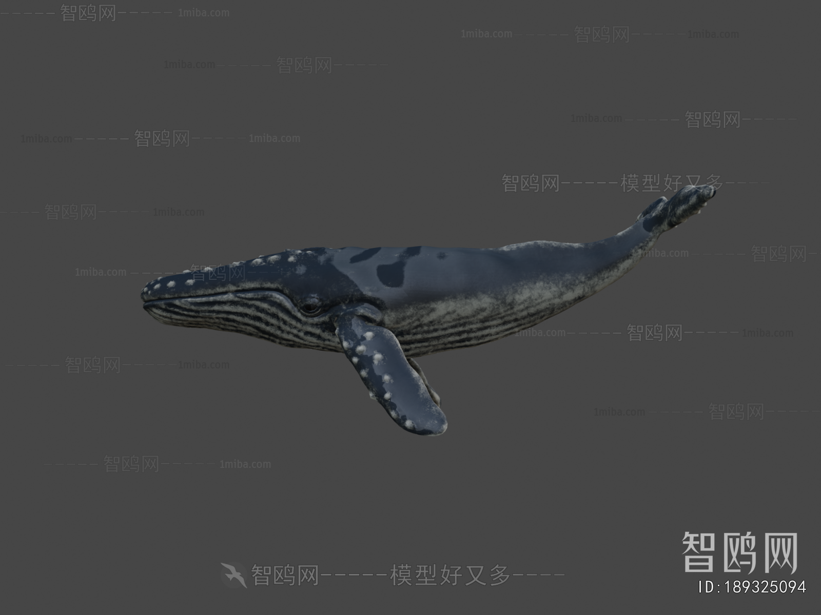 Modern Aquatic Animals