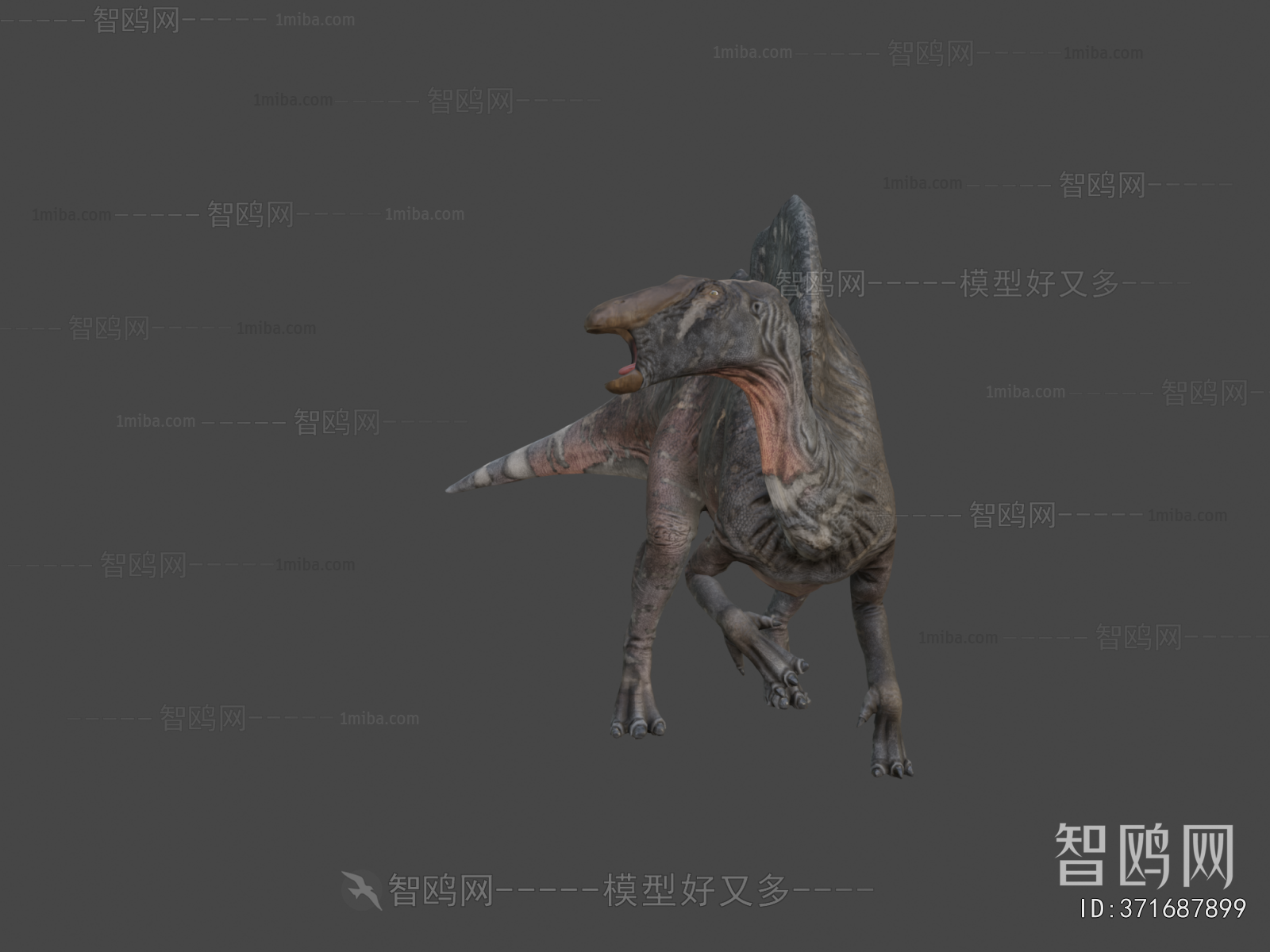 Modern Other Animals