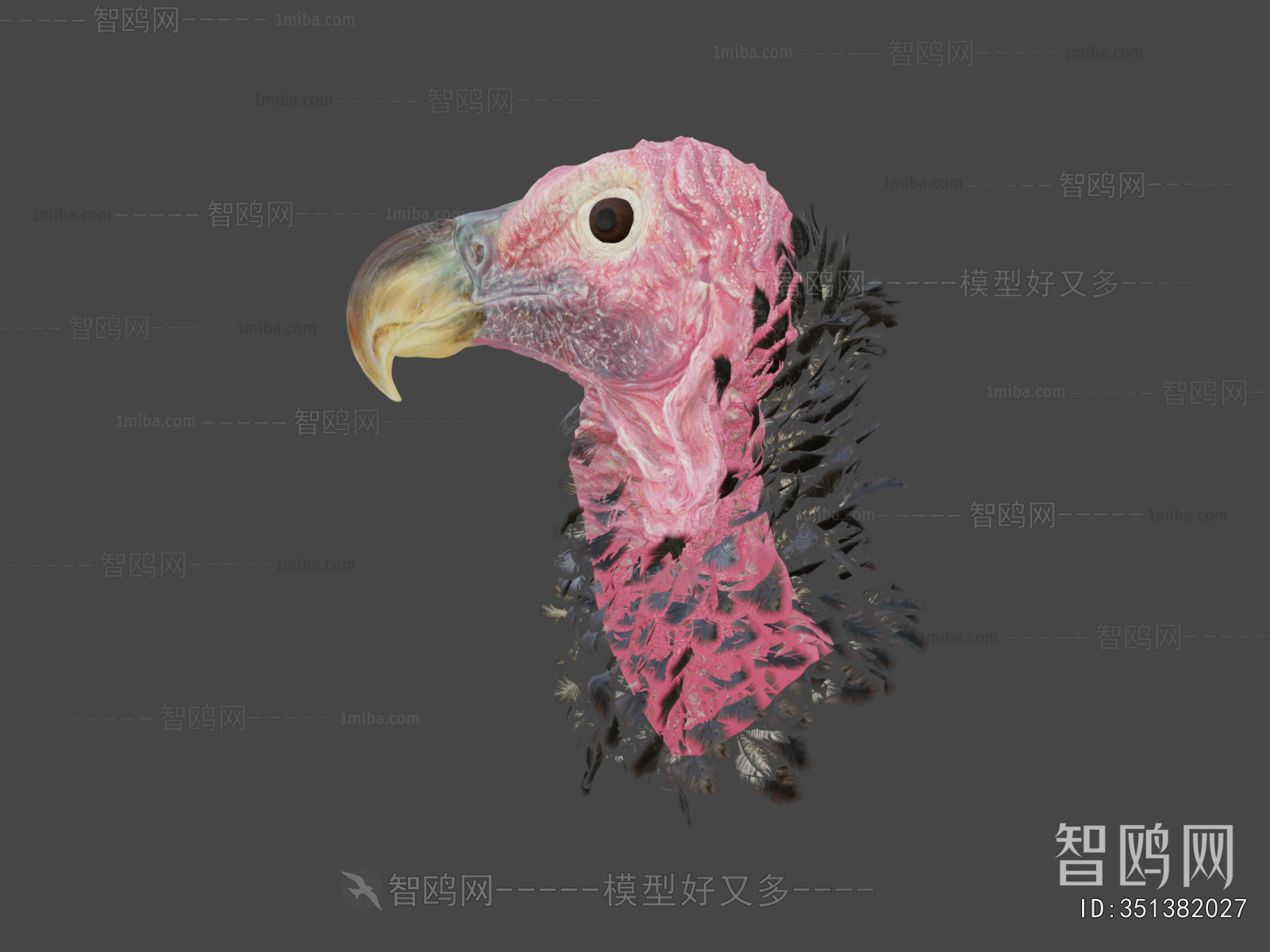Modern Animal