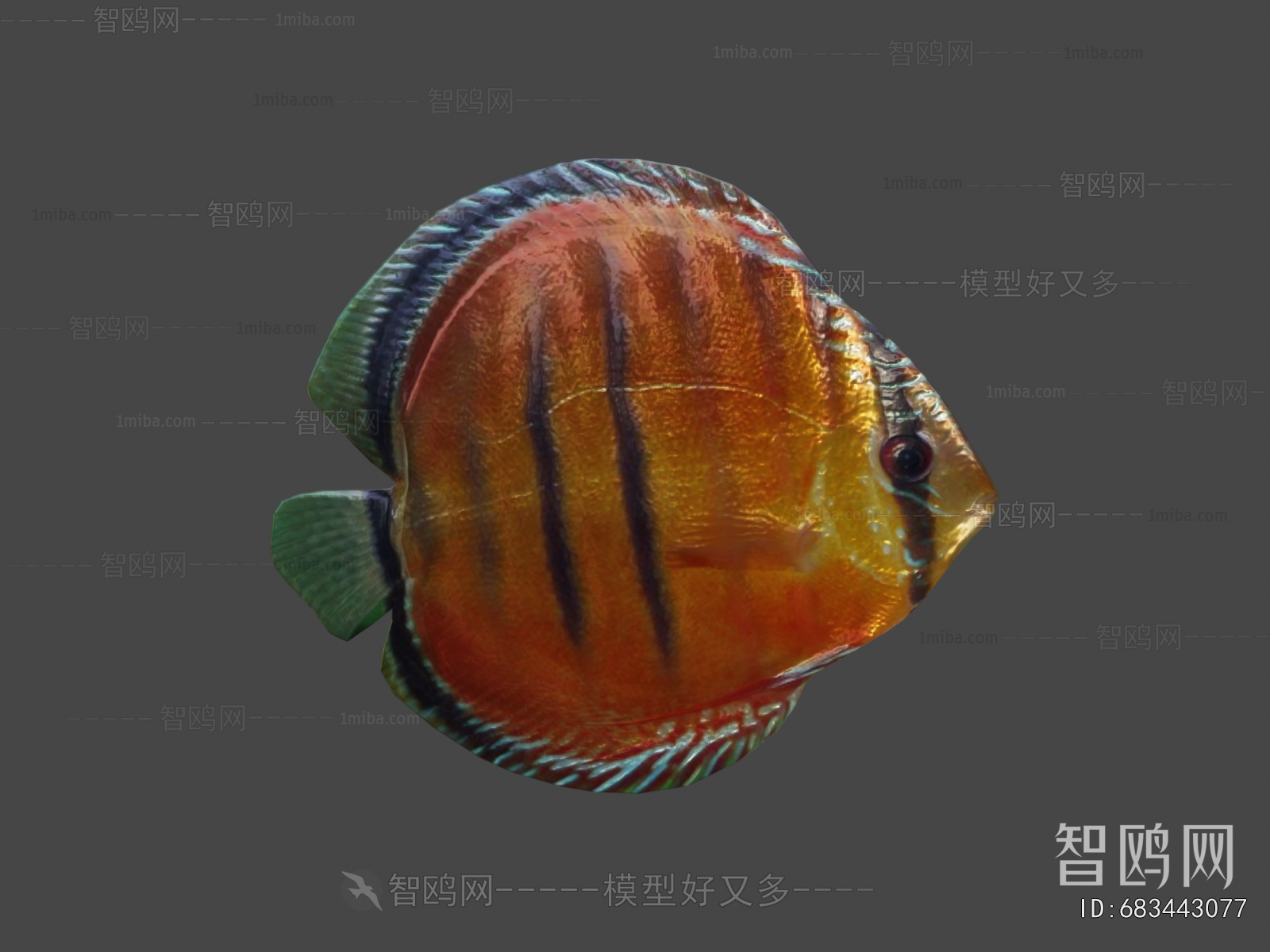 Modern Aquatic Animals