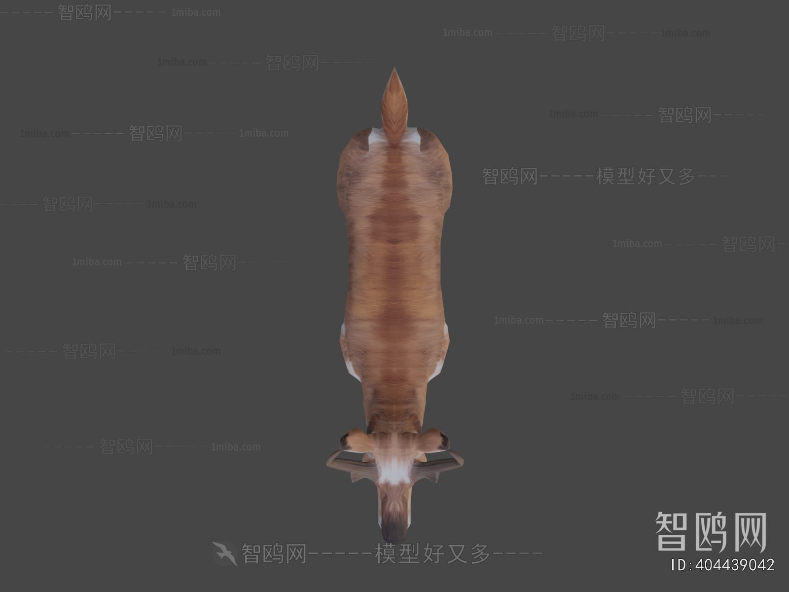 Modern Animal