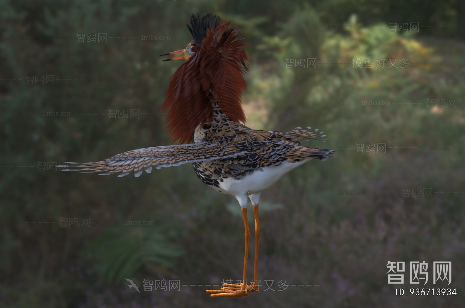 Modern Flying Animals