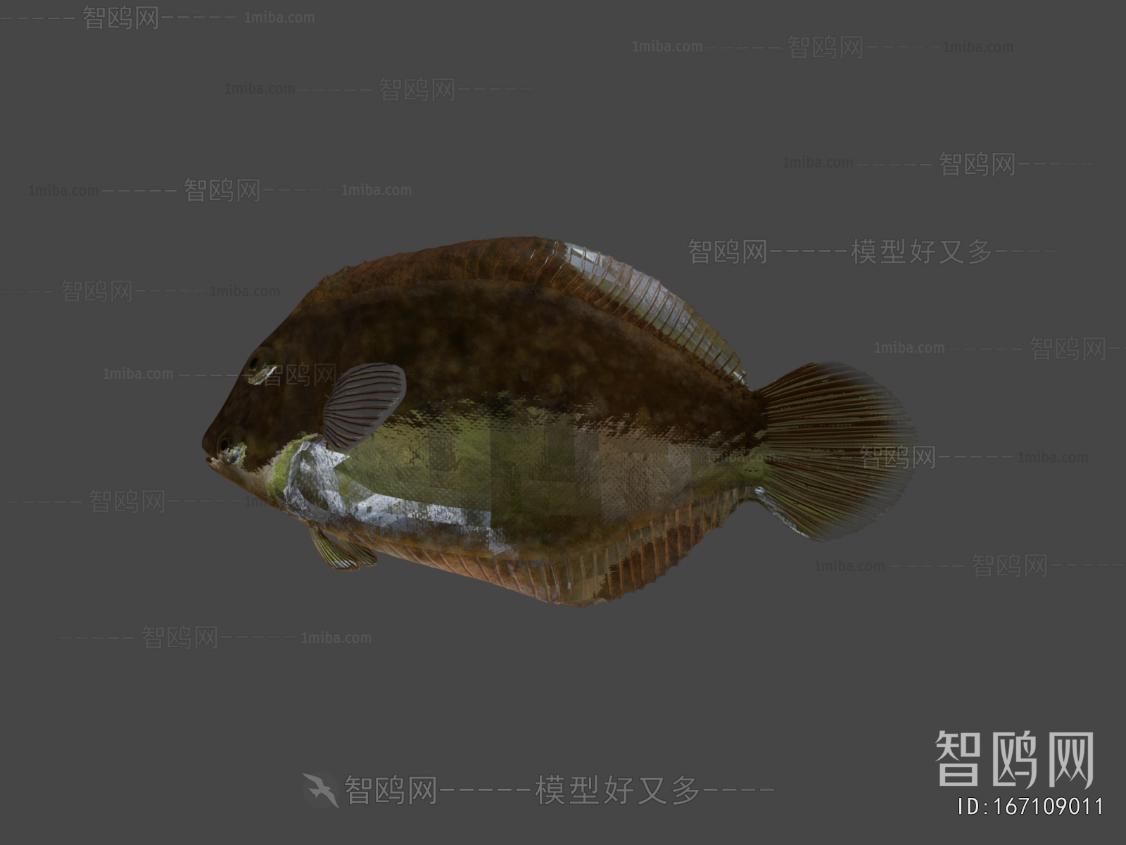 Modern Aquatic Animals