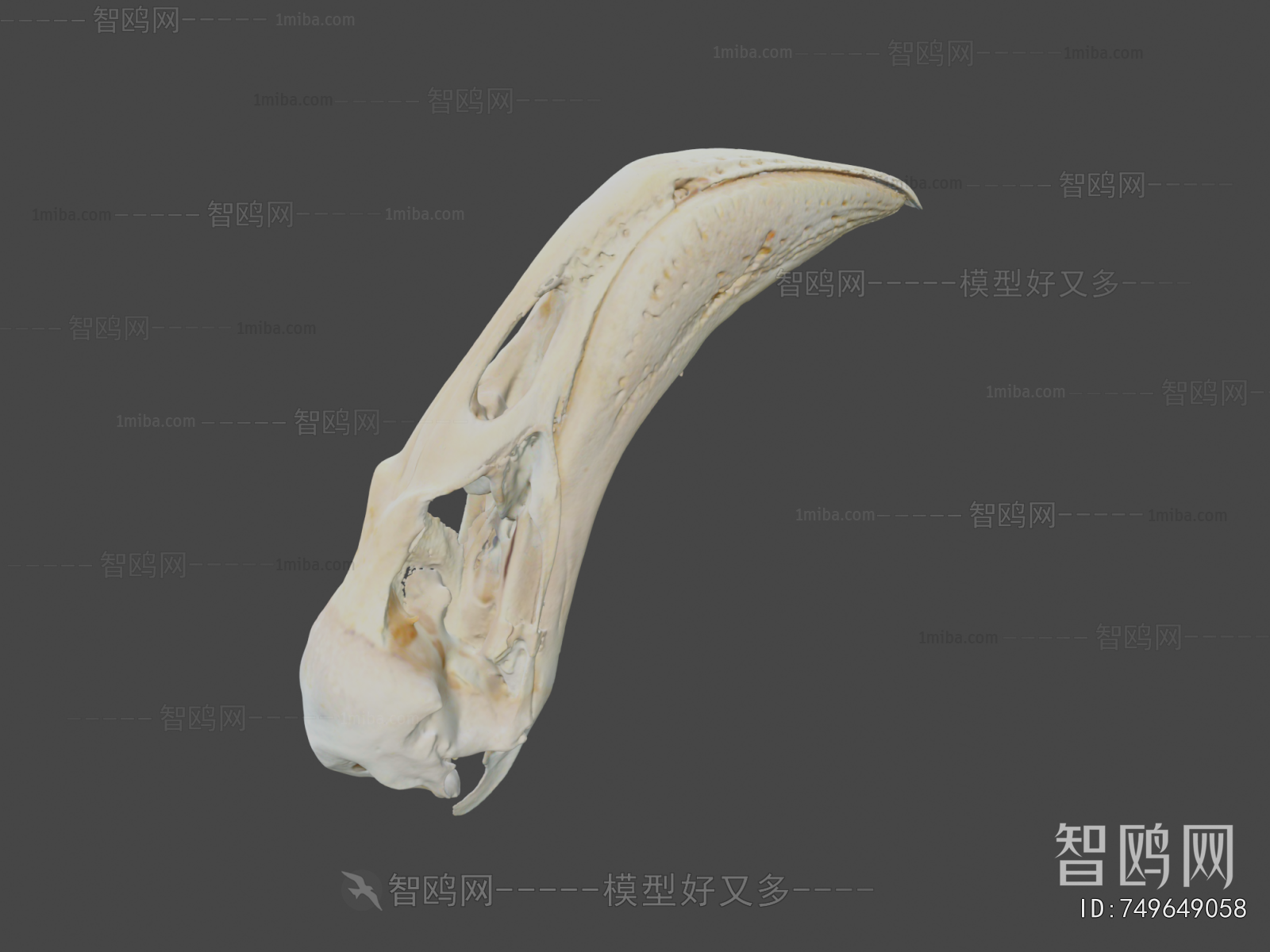 Modern Medical Equipment