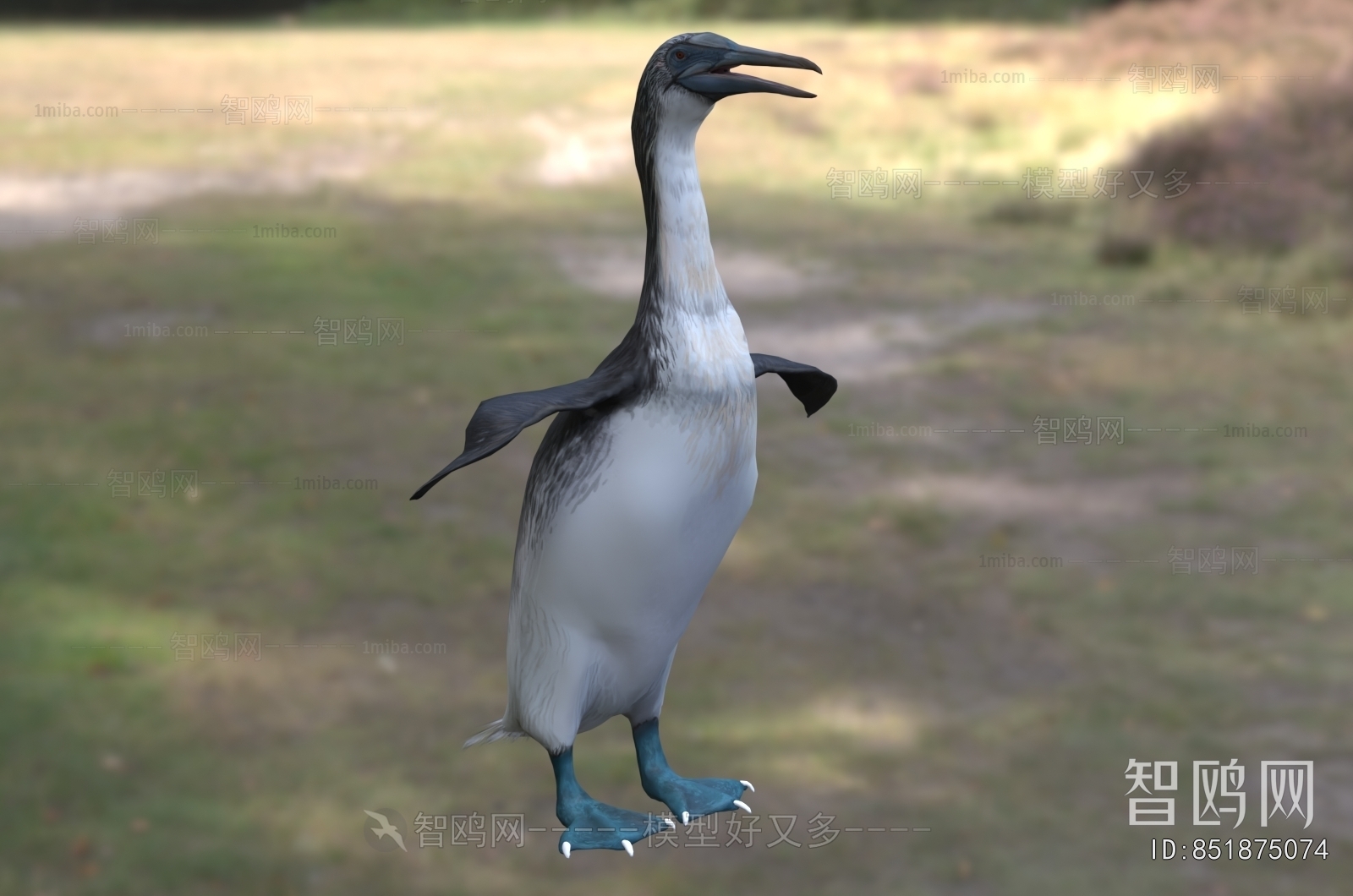 Modern Poultry Animal