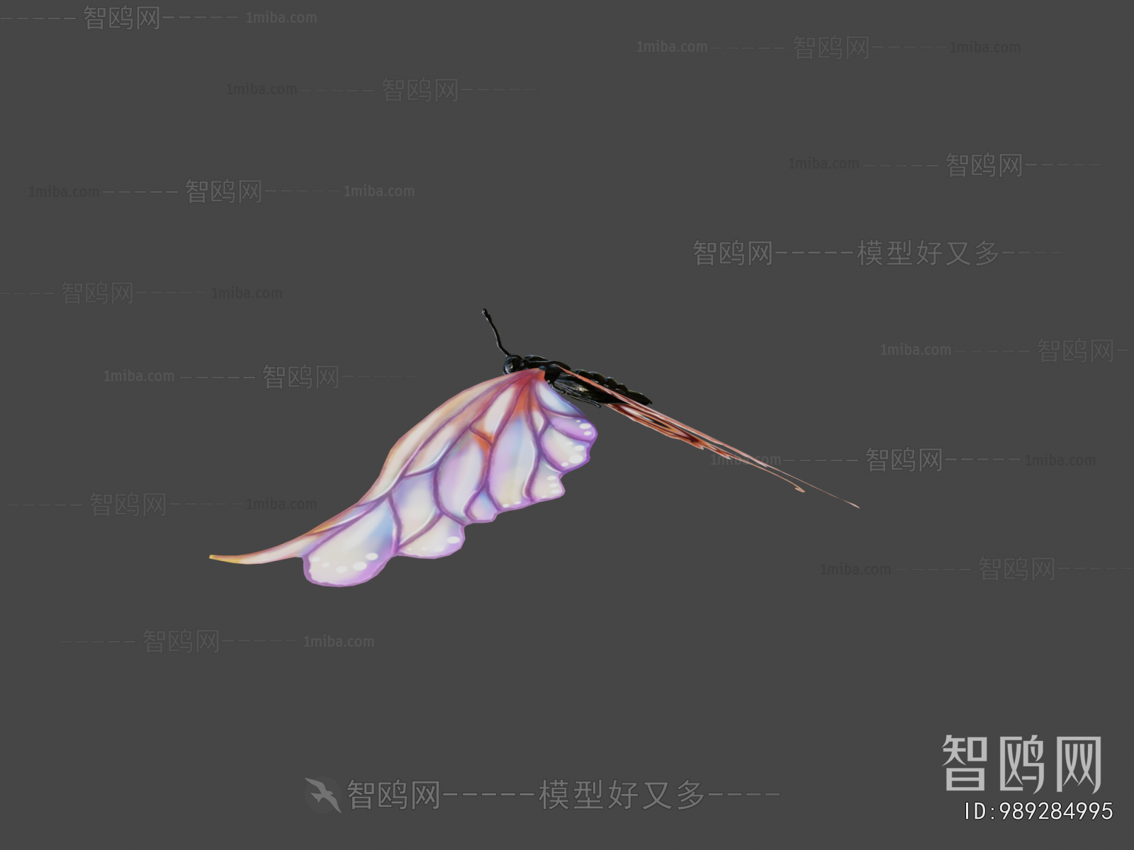 Modern Animal