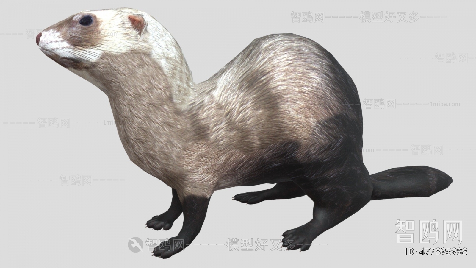 Modern Animal