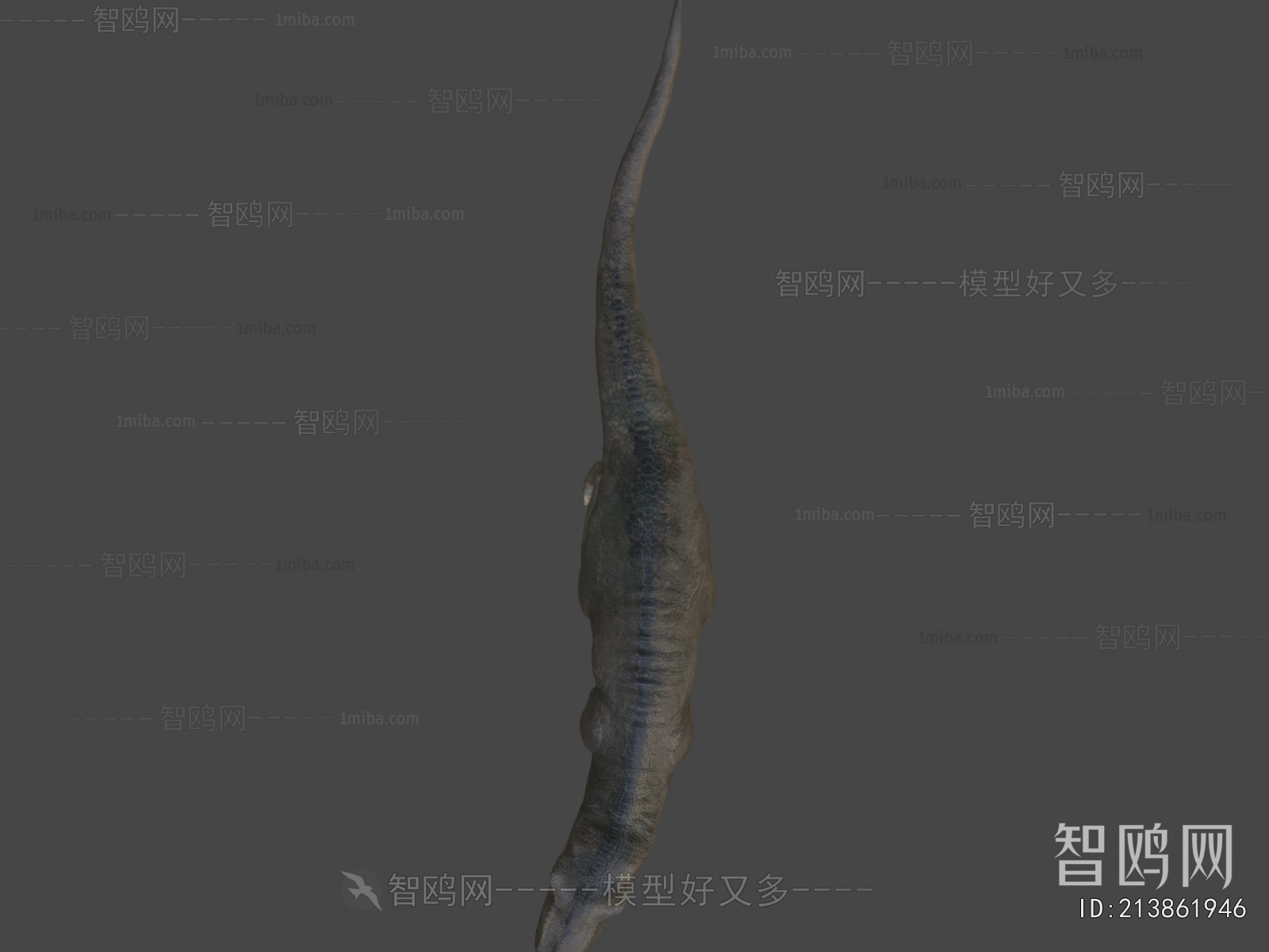 Modern Mammal
