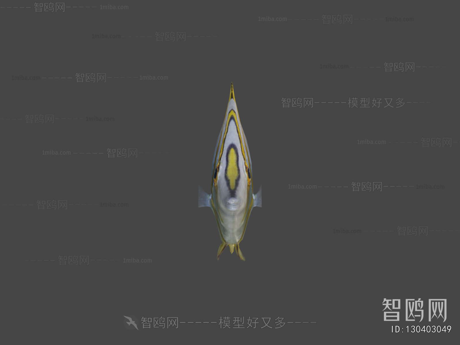 Modern Aquatic Animals
