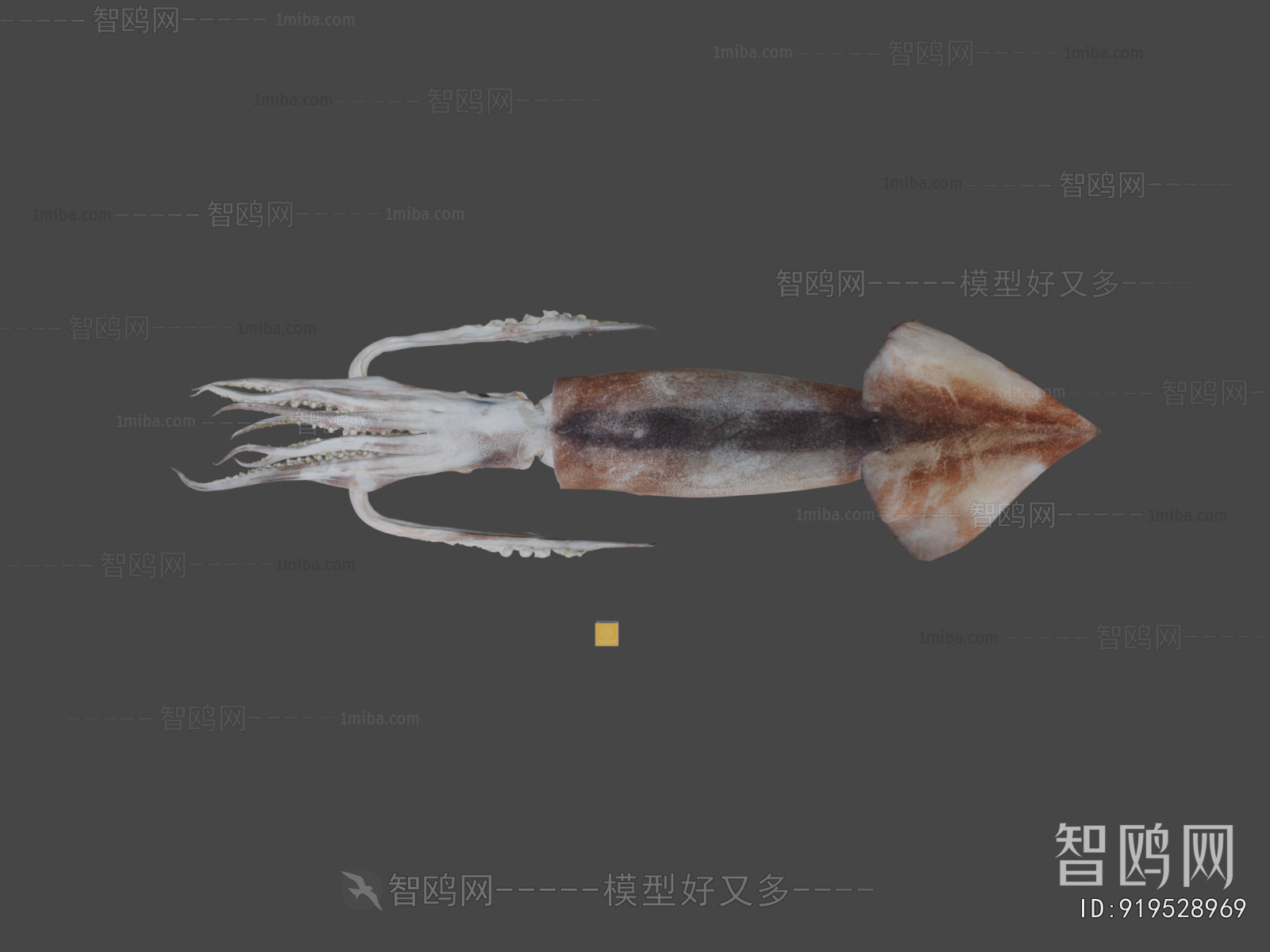 Modern Aquatic Animals