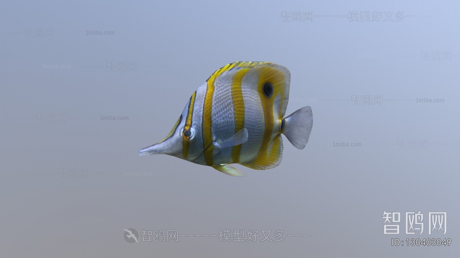Modern Aquatic Animals