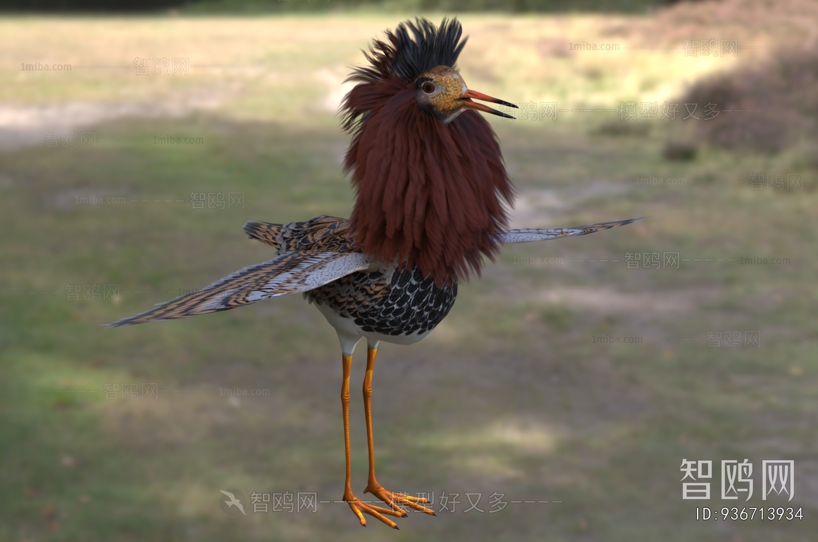 Modern Flying Animals