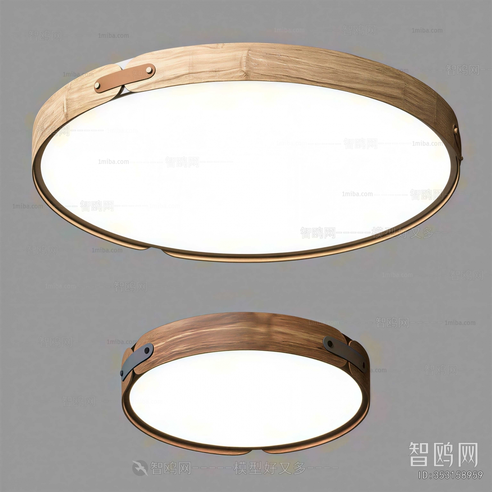 Nordic Style Ceiling Ceiling Lamp