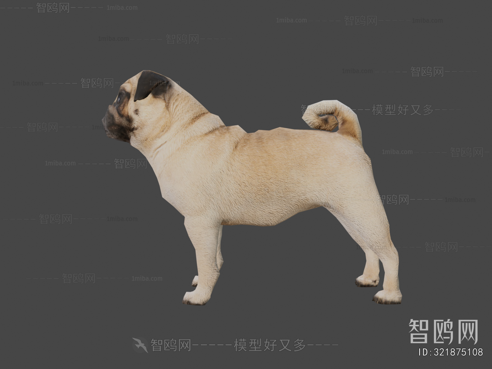 Modern Animal Dog