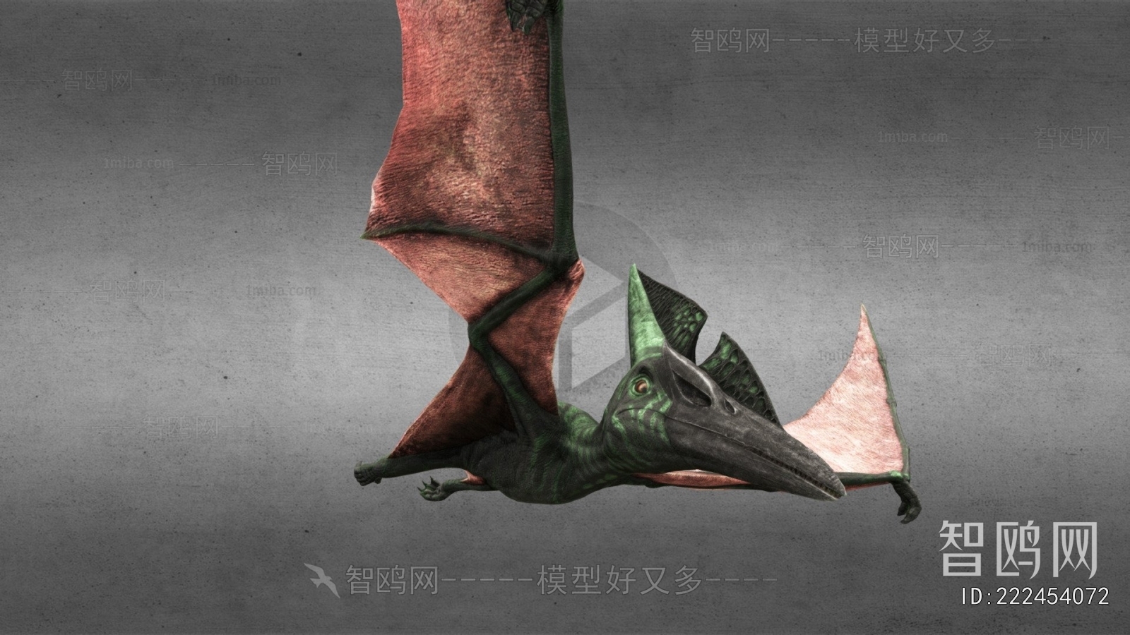 Modern Animal