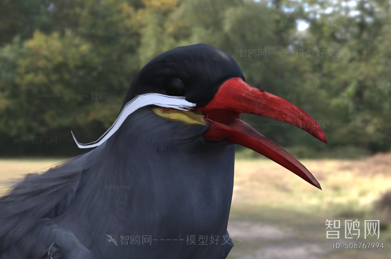 Modern Flying Animals