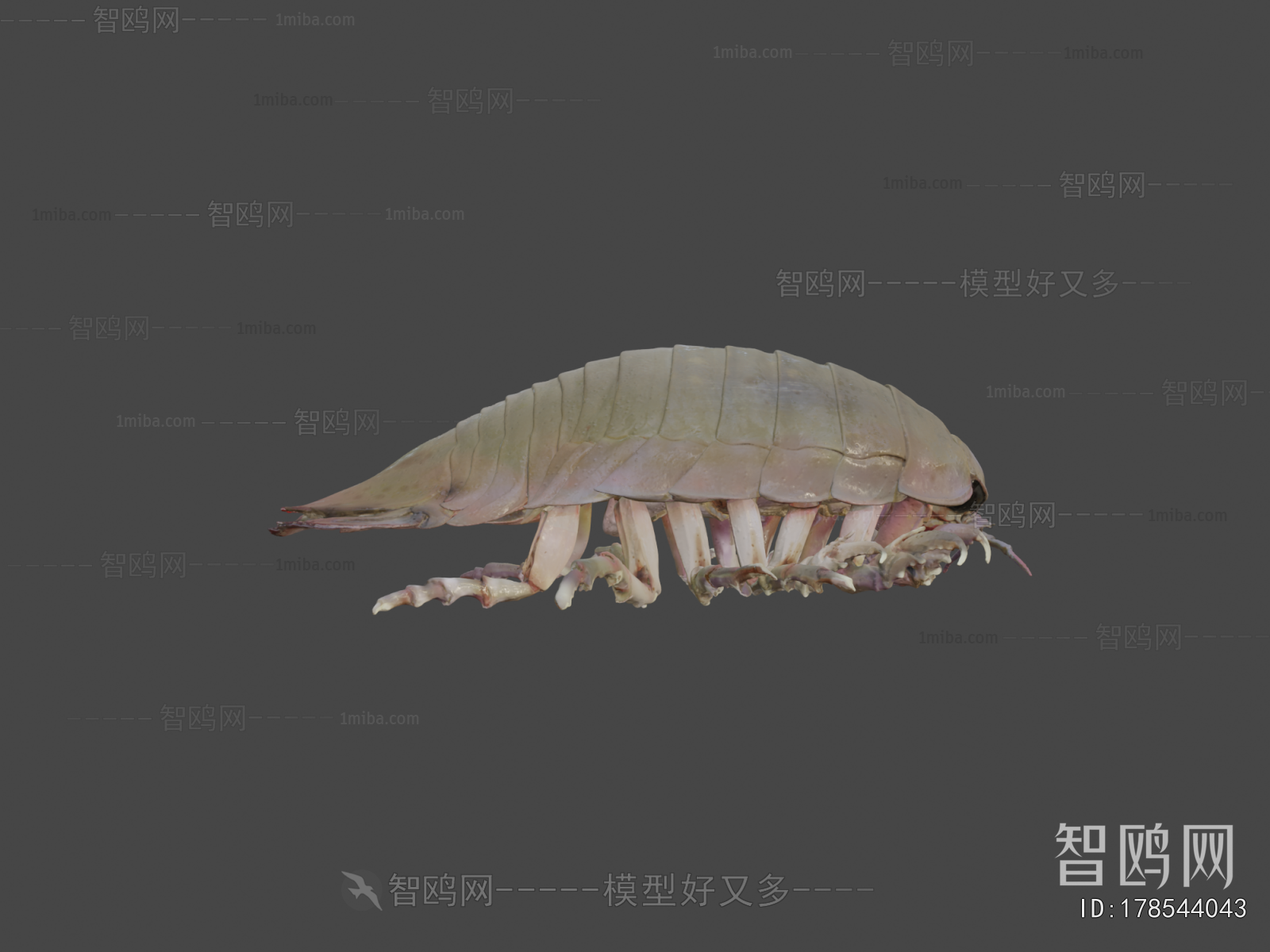 Modern Animal