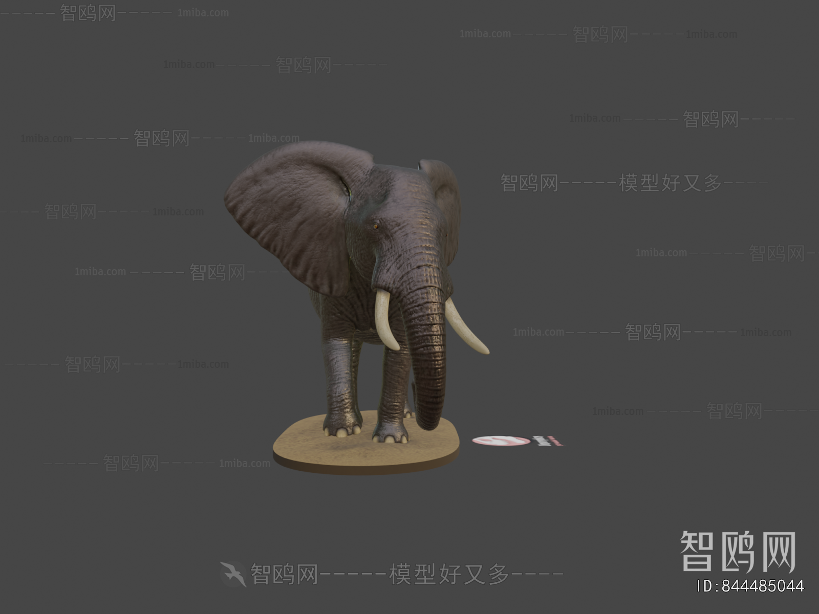 Modern Mammal