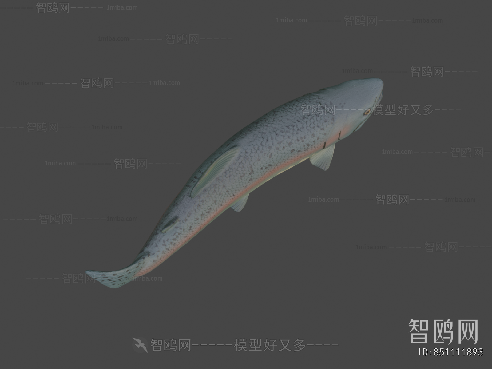 Modern Animal