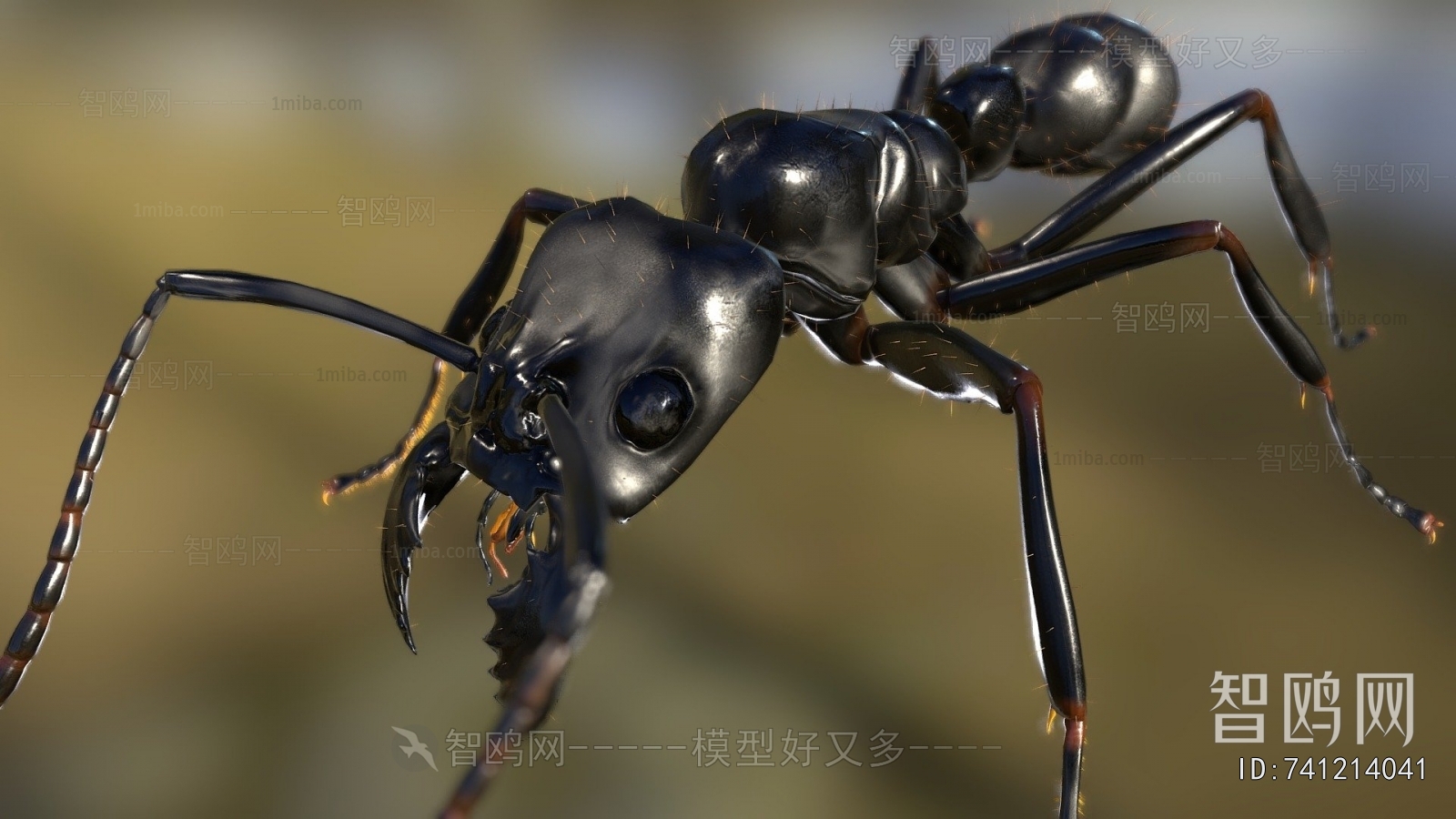 Modern Animal
