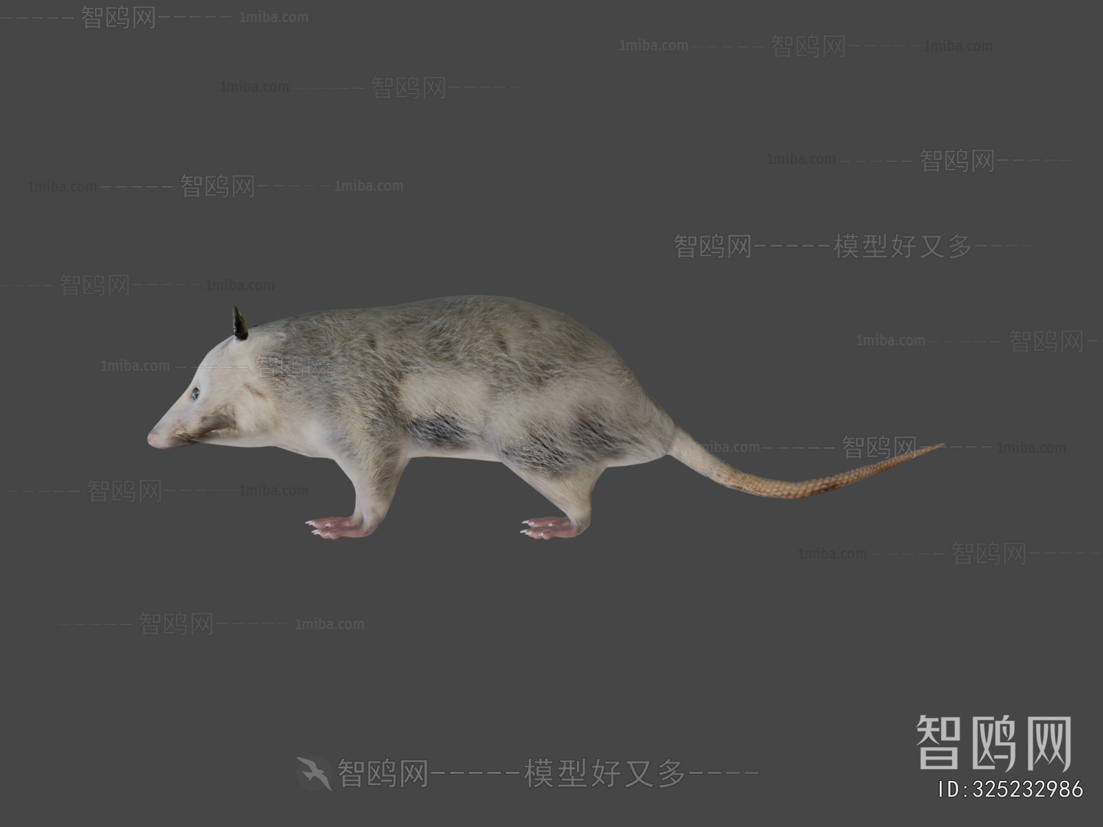 Modern Mammal