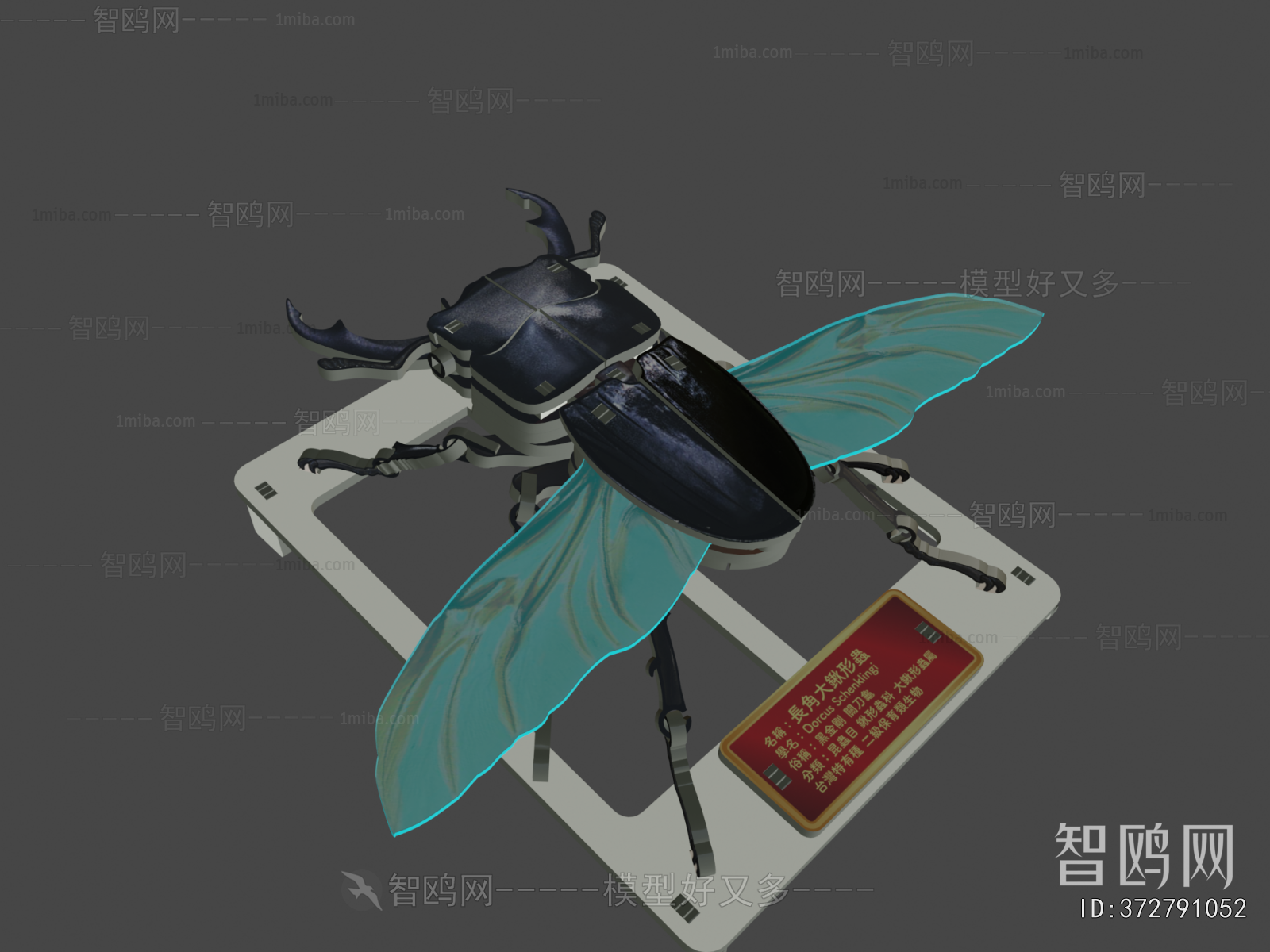Modern Animal