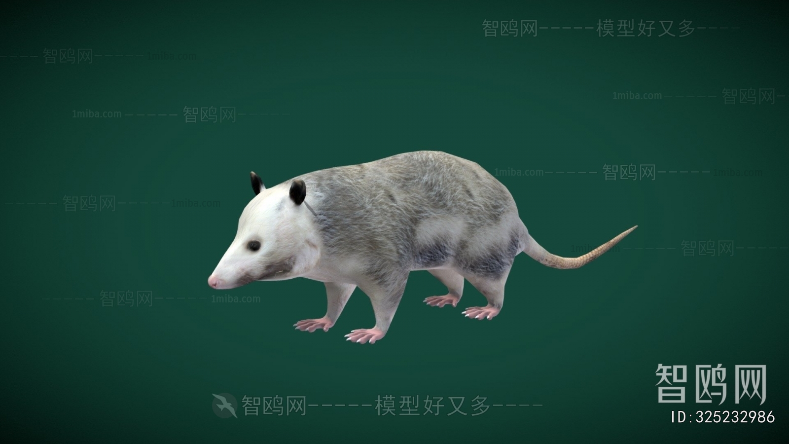 Modern Mammal
