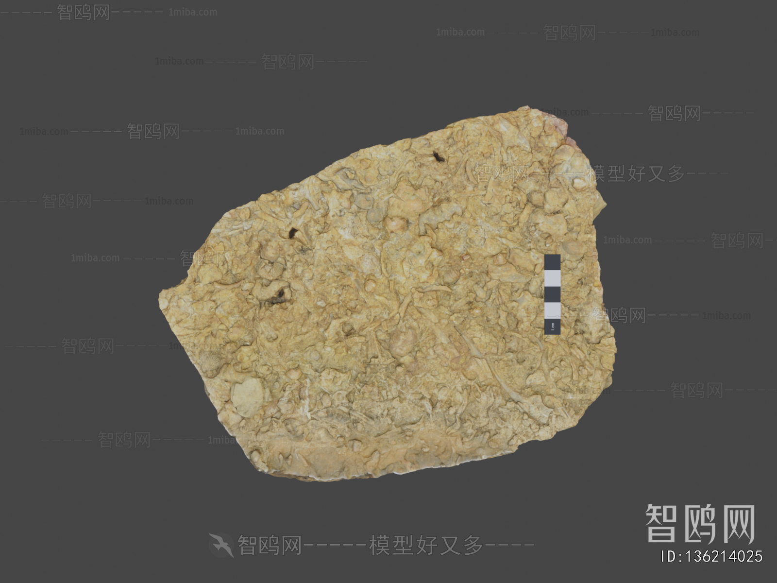 Modern Stone