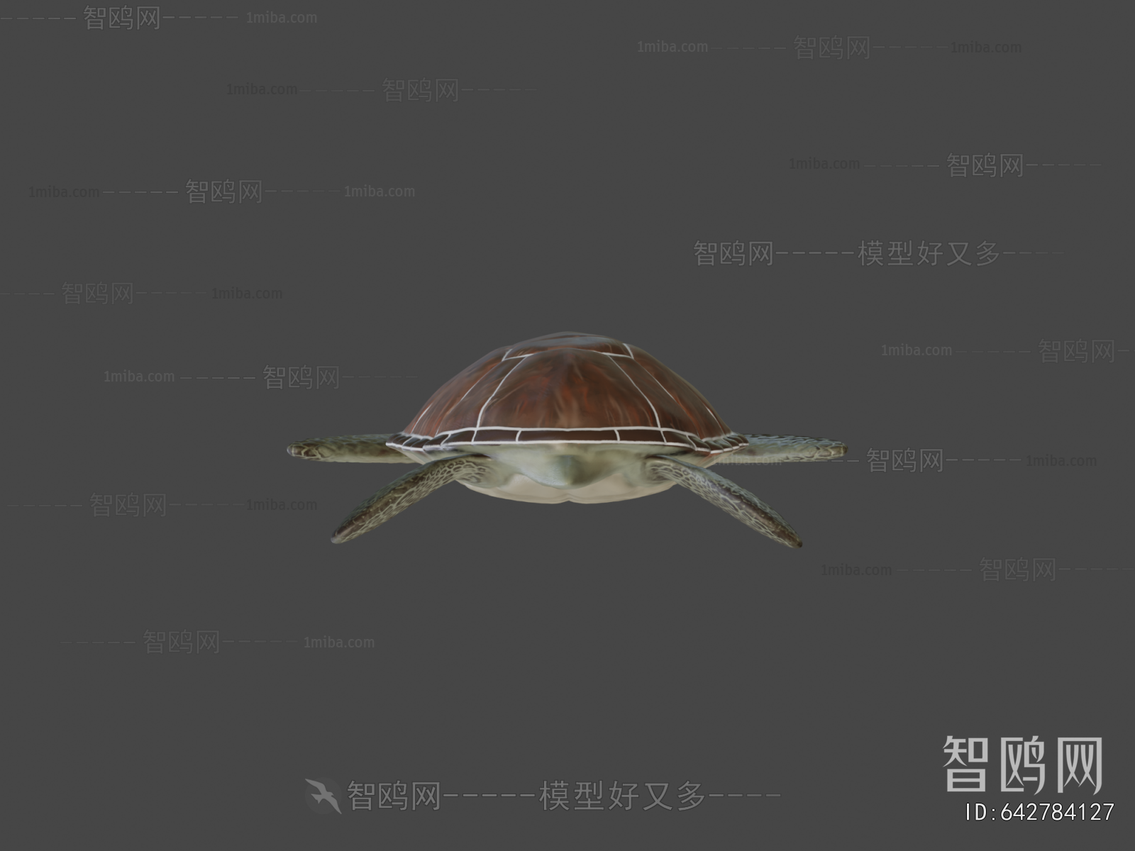 Modern Aquatic Animals