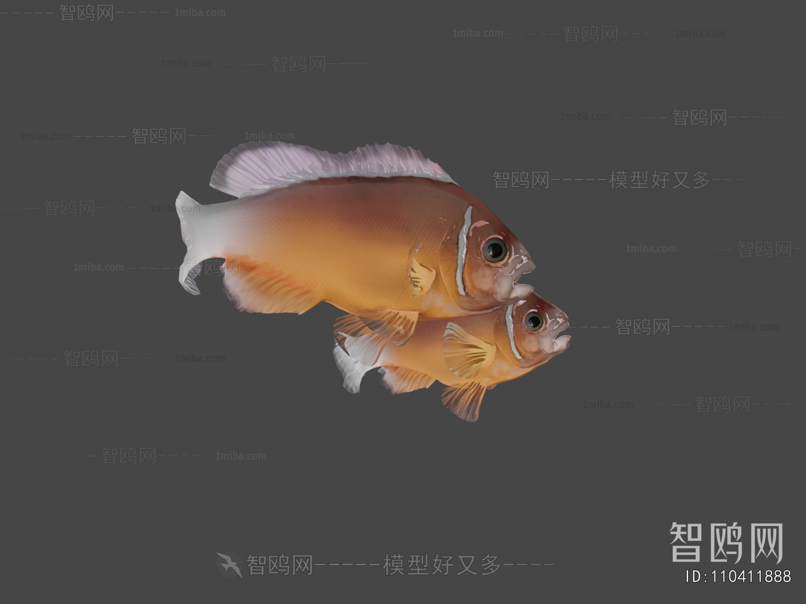 Modern Aquatic Animals